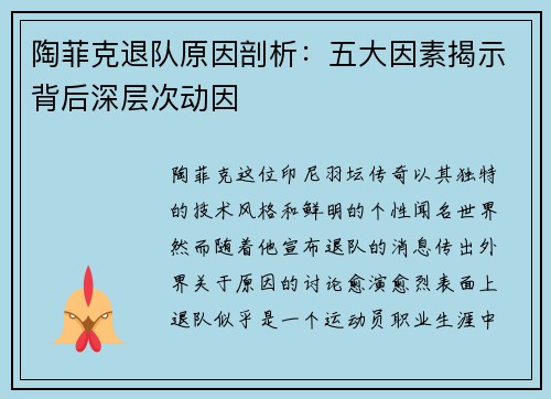 陶菲克退队原因剖析:五大因素揭示背后深层次动因 陶菲克退队原因剖析:五大因素揭示背后深层次动因