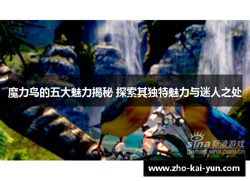 魔力鸟的五大魅力揭秘 探索其独特魅力与迷人之处
