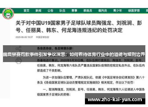 魏震禁赛罚款事件引发争议深思：如何看待体育行业中的道德与规则边界