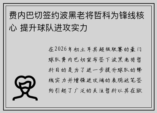 费内巴切签约波黑老将哲科为锋线核心 提升球队进攻实力 费内巴切签约波黑老将哲科为锋线核心 提升球队进攻实力